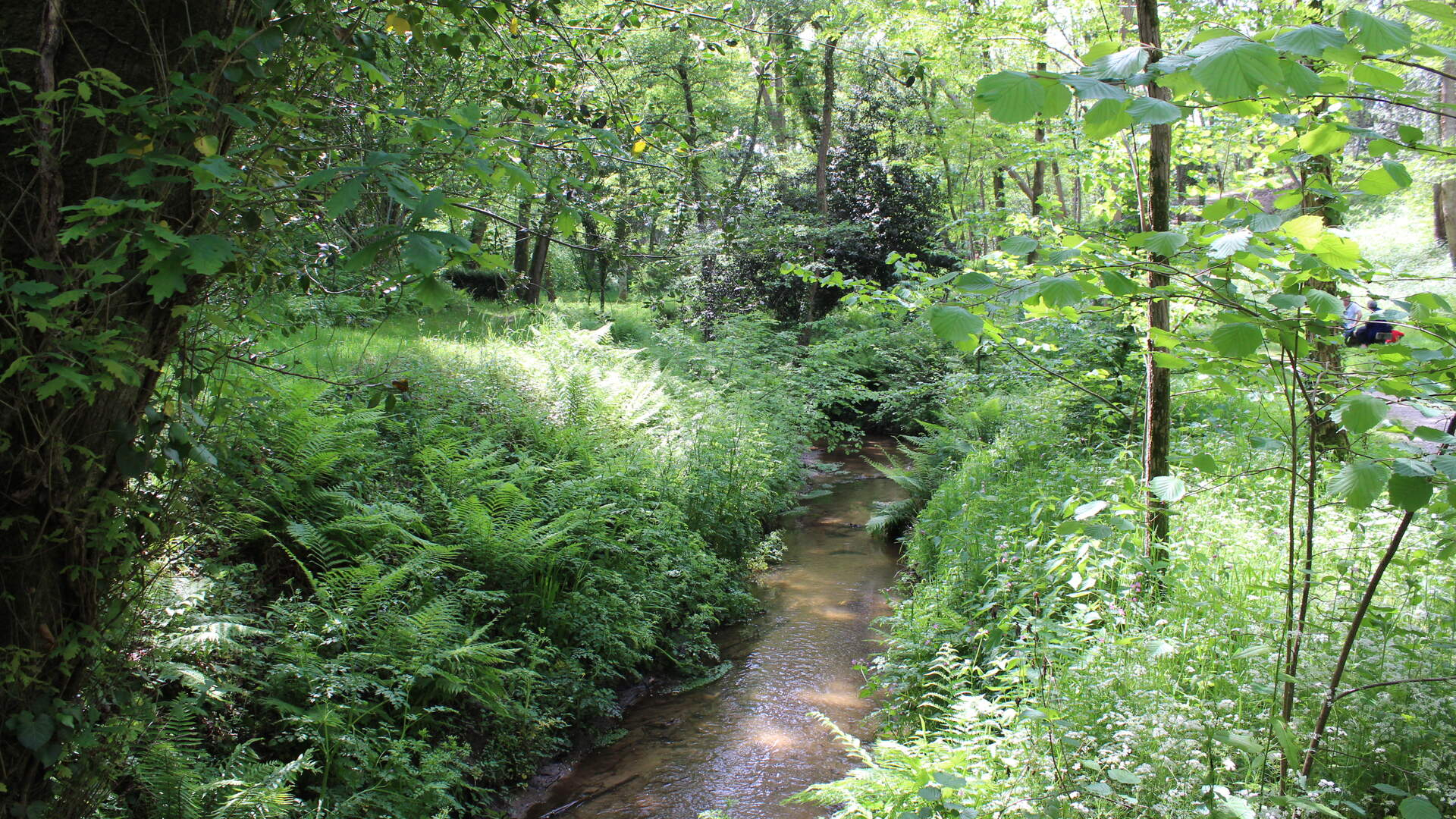 Ruisseau de La Souque