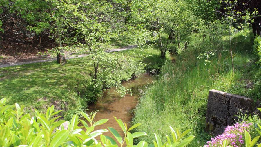 Le ruisseau de la Souque au Bois de Fontaine