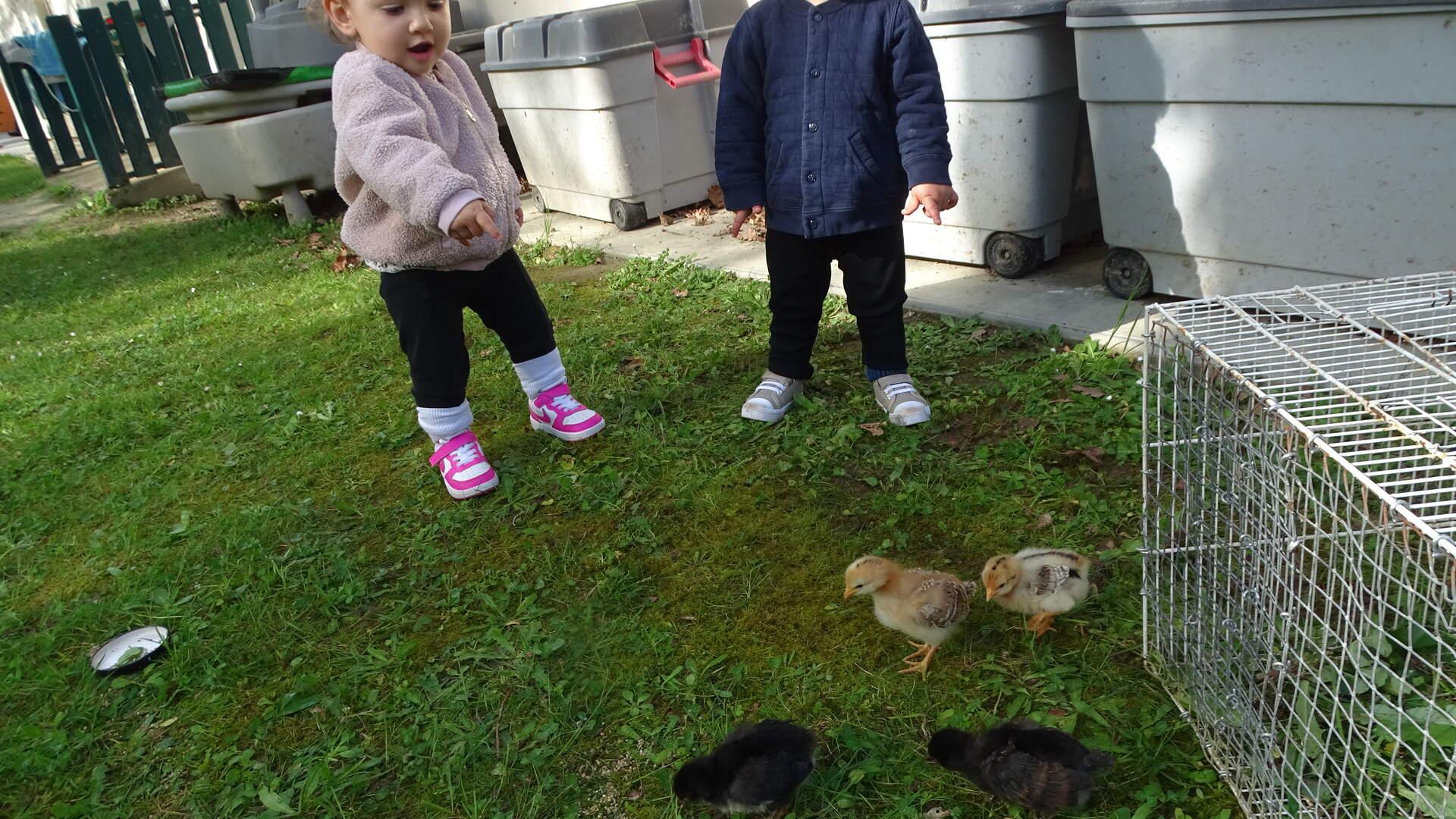 DSC00427.jpg